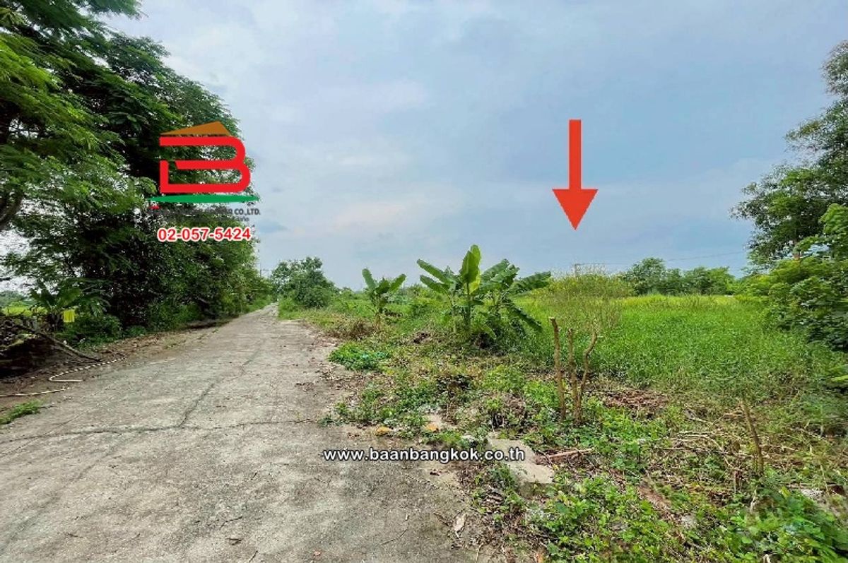 Empty Land, Soi Chalermkit (along the Khlong 12) area of ​​200 sq.w., near the Iga Matol Nong Sam Wang Subdistrict Nong Suea District, Pathum Thani – รูปที่ 3