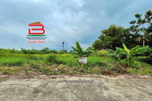 Empty Land, Soi Chalermkit (along the Khlong 12) area of ​​200 sq.w., near the Iga Matol Nong Sam Wang Subdistrict Nong Suea District, Pathum Thani