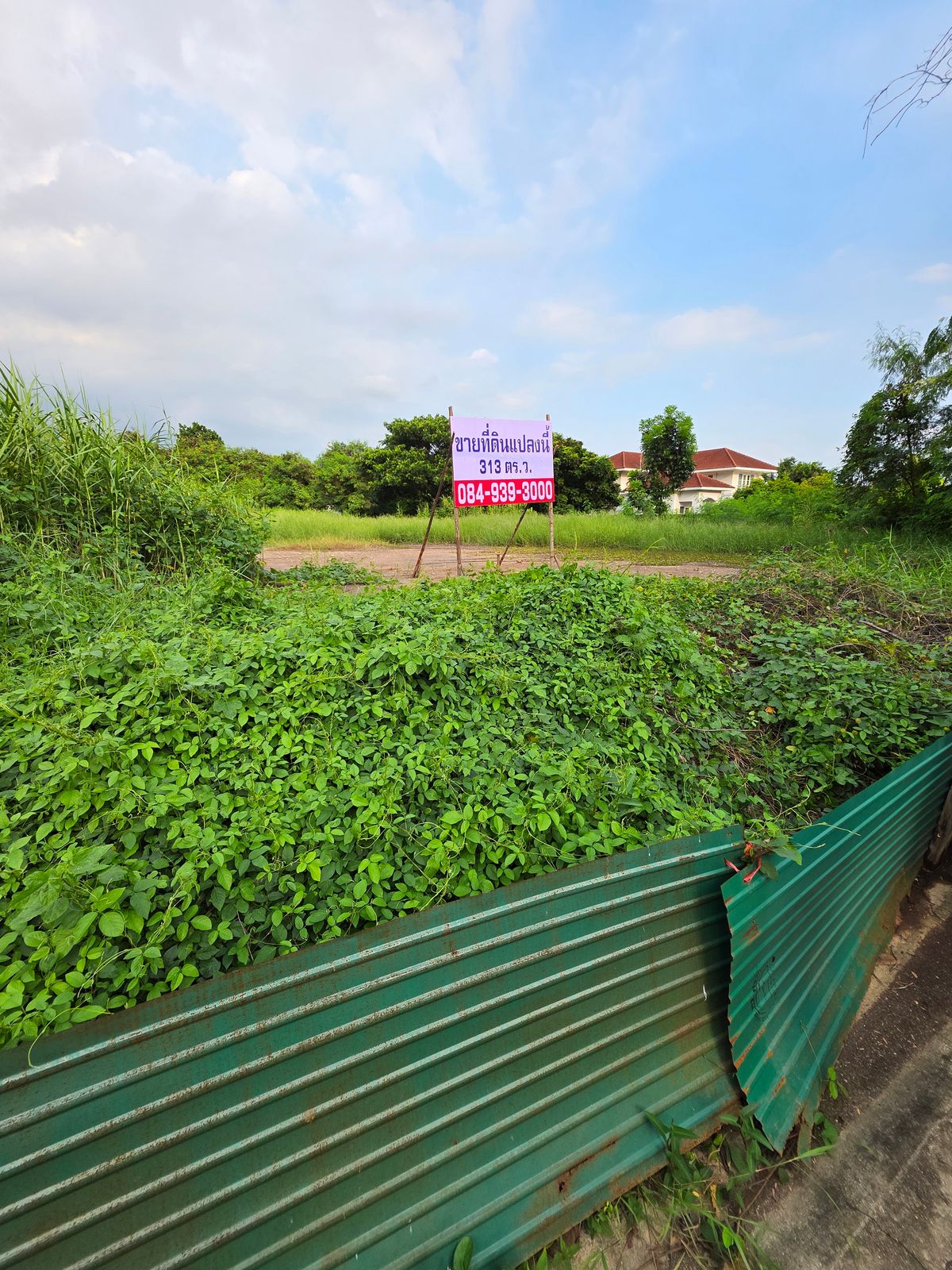 ขายที่ดินเปล่า 313 ตร.ว. ถมแล้ว ซอย ฉิมพลี 24 เขตตลิ่งชัน กทม – รูปที่ 3