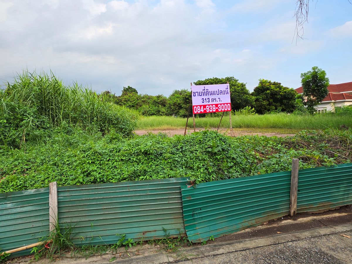 ขายที่ดินเปล่า 313 ตร.ว. ถมแล้ว ซอย ฉิมพลี 24 เขตตลิ่งชัน กทม – รูปที่ 4