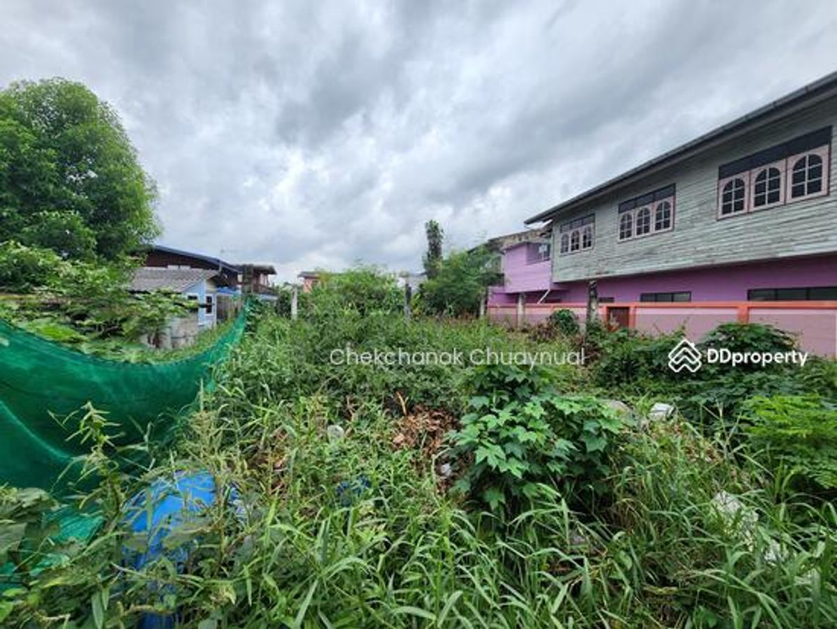 Land for sale, Petchkasem 48, behind Wat Chan 125 square wah, sedan, not selling only 1.6 million, including transfer Land for sale, Petchkasem 48, behind Wat Chan 125 square wah, sedan, not selling only 1.6 million, including transfer