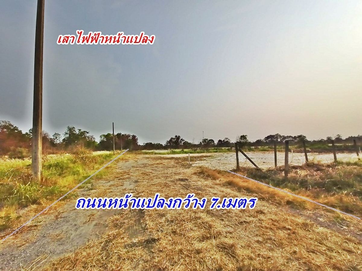 ที่ดินโซนหนองจอกถมแล้วลดสุดๆจะไปต่างประเทศ T.062-1574449 – รูปที่ 3