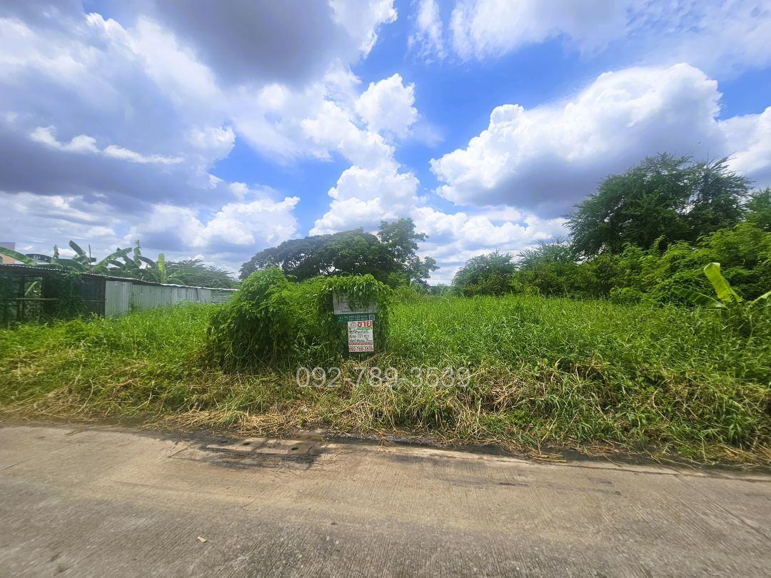 ขายที่ดิน รามอินทรา5 แยก 13 อนุสาวรีย์ บางเขน 201 ตร.วา ใกล้เซ็นทรัลรามอินทรา รถไฟฟ้าสายสีชมพู – รูปที่ 3