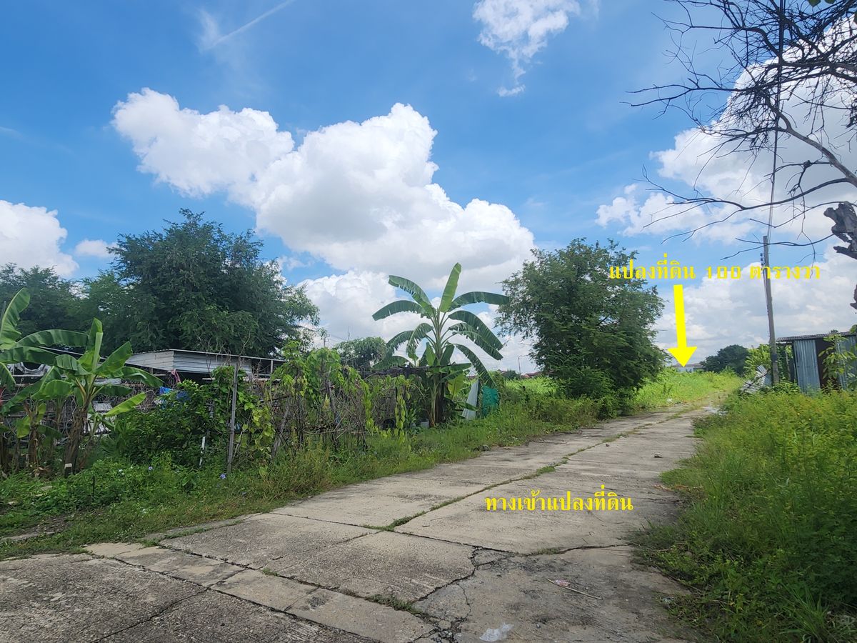 ขายที่ดินเปล่า 100 ตร.วา – บางบัวทอง นนทบุรี Rare Asset for Investor & Home Builder ที่ดินโฉนดสวย รูปทรง สี่เหลี่ยมจตุรัส ขนาด 100 ตร.วา ทำเลพรีเมียมโซน บางใหญ่ -บางบัวทอง – ใกล้รถไฟฟ้า MRT คลองบางไผ่ และศูนย์กลางการค้าเซ็นทรัล เวสต์เกต – รูปที่ 4