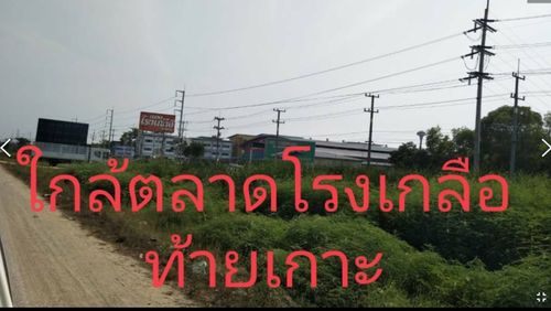 🌟 ขายที่ดินทำเลดีในสามโคก, ปทุมธานี! 🌟 เสนอขายที่ดินขนาด 11 ไร่ 12 ตารางวา (4,412 ตร.วา) หรือ 17,648 ตร.ม. หน้ากว้างประมาณ 108 เมตร, ลึกประมาณ 184 เมตร ทำเลศักยภาพสูง ใกล้แหล่งโรงงานและโครงการพัฒนาใหม่