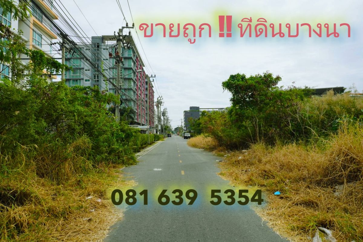 ✨ขายต่ำกว่าราคาตลาด✨ ที่ดิน ซอยเอแบค บางนา สมุทรปราการ 📍 ขนาด 3-0-41 ไร่ | หน้ากว้าง 80 เมตร | ผังเมืองสีแดง ✨ขายต่ำกว่าราคาตลาด✨ ที่ดิน ซอยเอแบค บางนา สมุทรปราการ 📍 ขนาด 3-0-41 ไร่ | หน้ากว้าง 80 เมตร | ผังเมืองสีแดง
