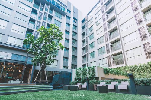 ✨ For Sale: The Tree Sukhumvit 64 Condo ✨  💰 Only 2,790,000 THB