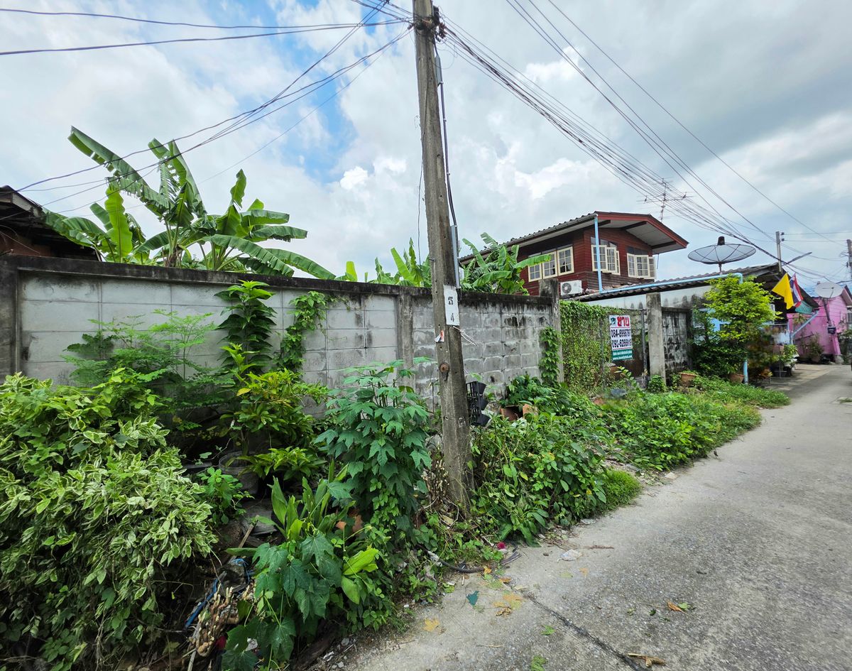 ขายที่ดินเปล่า 104  ตรว.พุทธมณฑลสาย 1 ซอย 13 ใกล้แยกบางแวก – รูปที่ 3