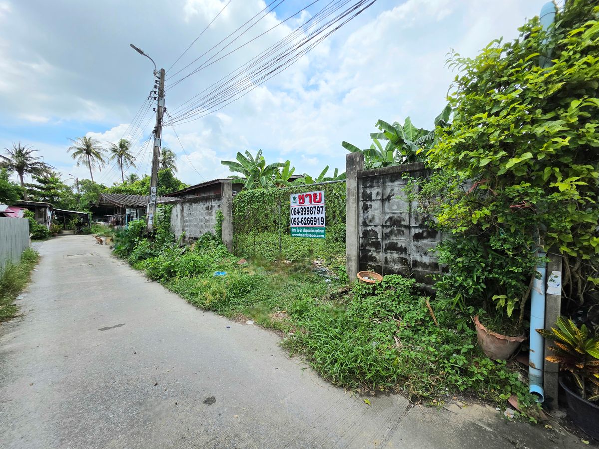 ขายที่ดินเปล่า 104  ตรว.พุทธมณฑลสาย 1 ซอย 13 ใกล้แยกบางแวก – รูปที่ 2