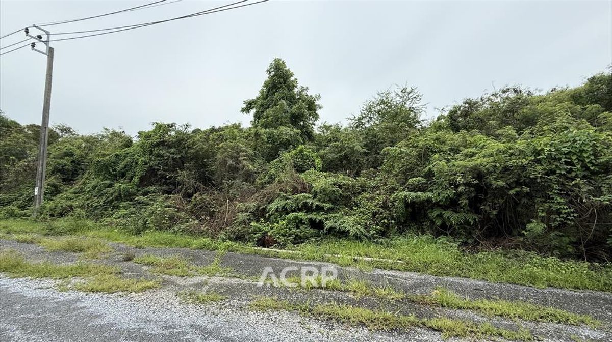 ขายที่ดินติดสนามกอล์ฟสุภาพฤกษ์ – ใกล้ มหาลัย ABAC บางนา เนื้อที่ 2 ไร่ ราคาเพียง 16 ล้านบาท – รูปที่ 4