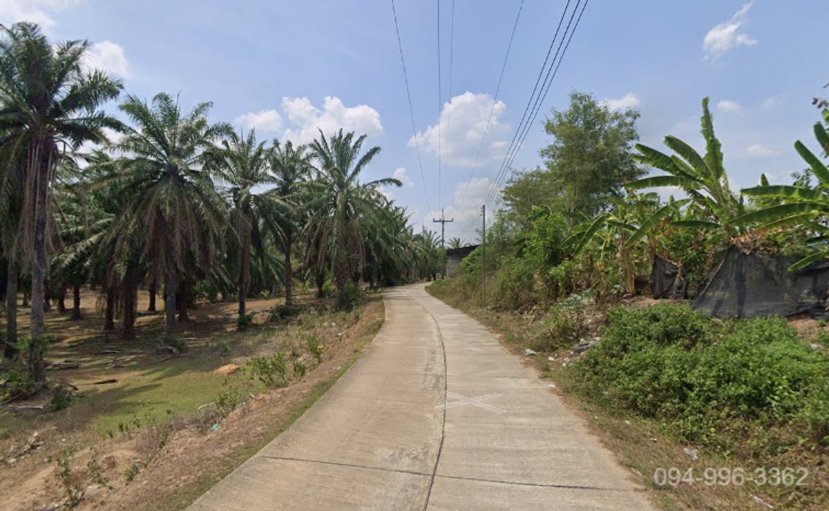 🚩 2 plots of land for sale (2 title deeds), Pakasai Subdistrict, Nuea Khlong District, Krabi Province, good location on Petchkasem Road Near Krabi Airport only 14 minutes. – รูปที่ 4
