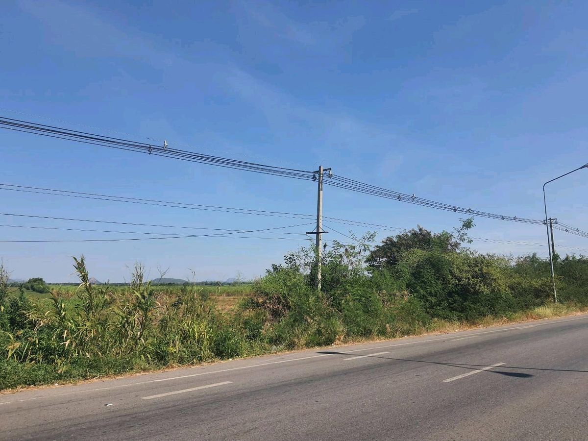 ขายด่วนที่ดินติดถนนสุรนารายณ์ ขายด่วนที่ดินติดถนนสุรนารายณ์