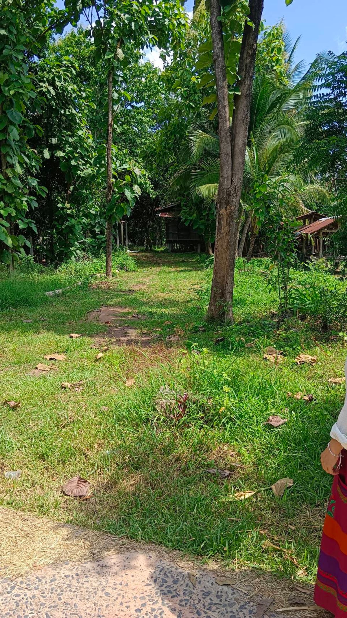 Beautiful land in the village is suitable for building houses and gardening. – รูปที่ 3