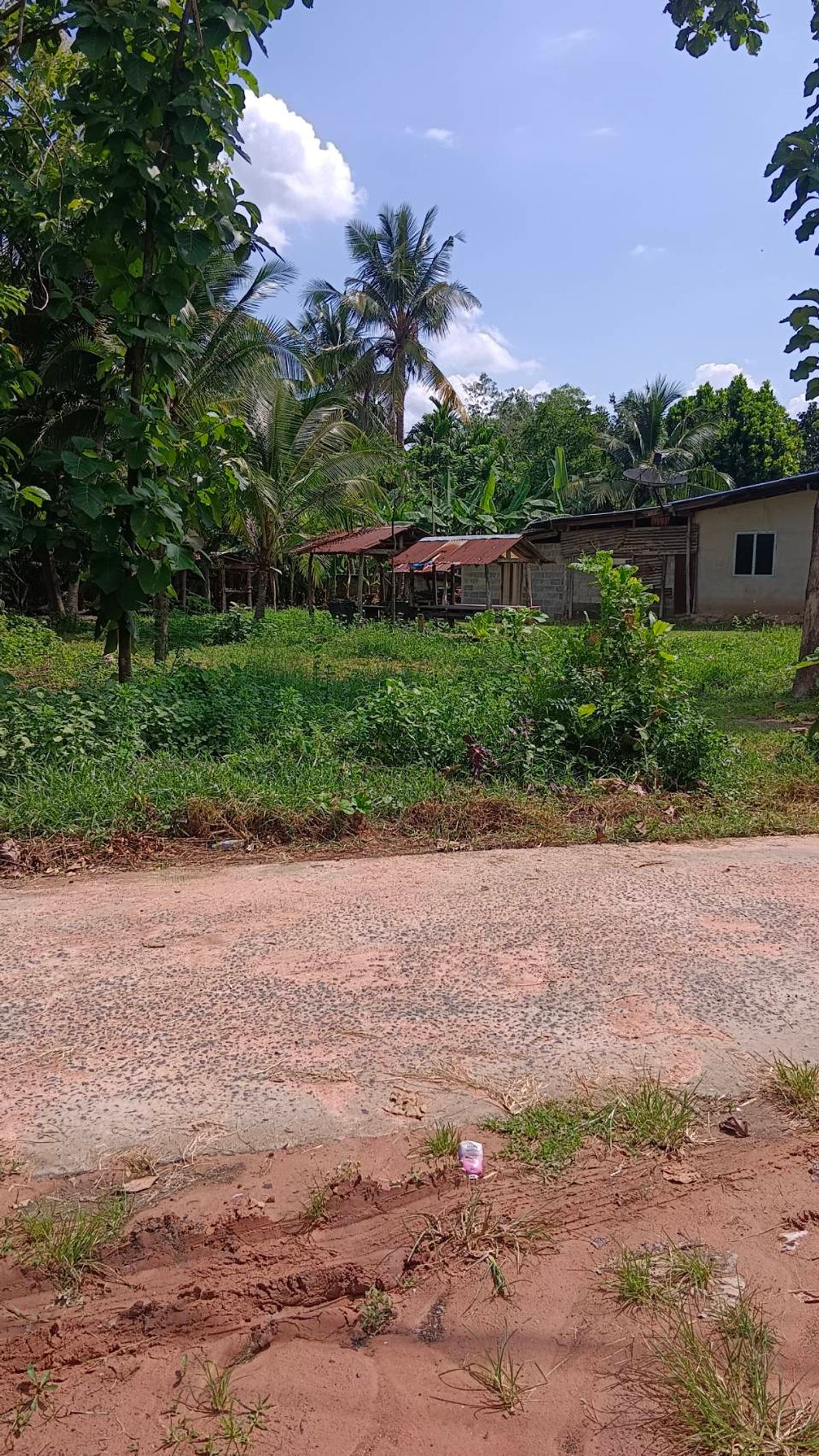 Beautiful land in the village is suitable for building houses and gardening. – รูปที่ 2
