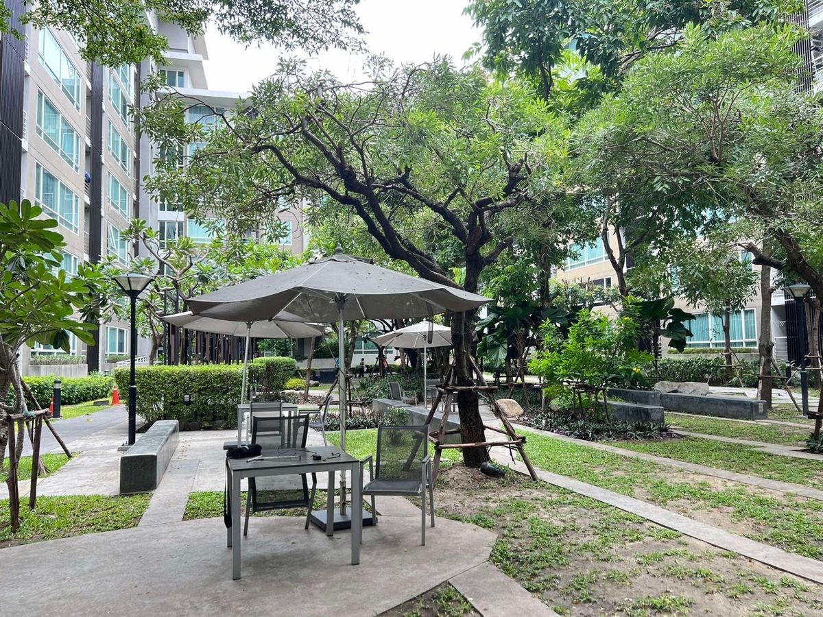  Condo for rent