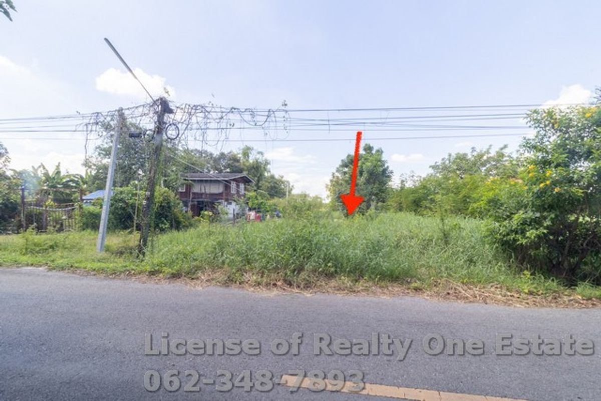 ขายที่ดินราคาถูก องครักษ์ – รังสิตนครนายก คลอง 16 วิวสวยติดคลองชลประทาน – รูปที่ 3