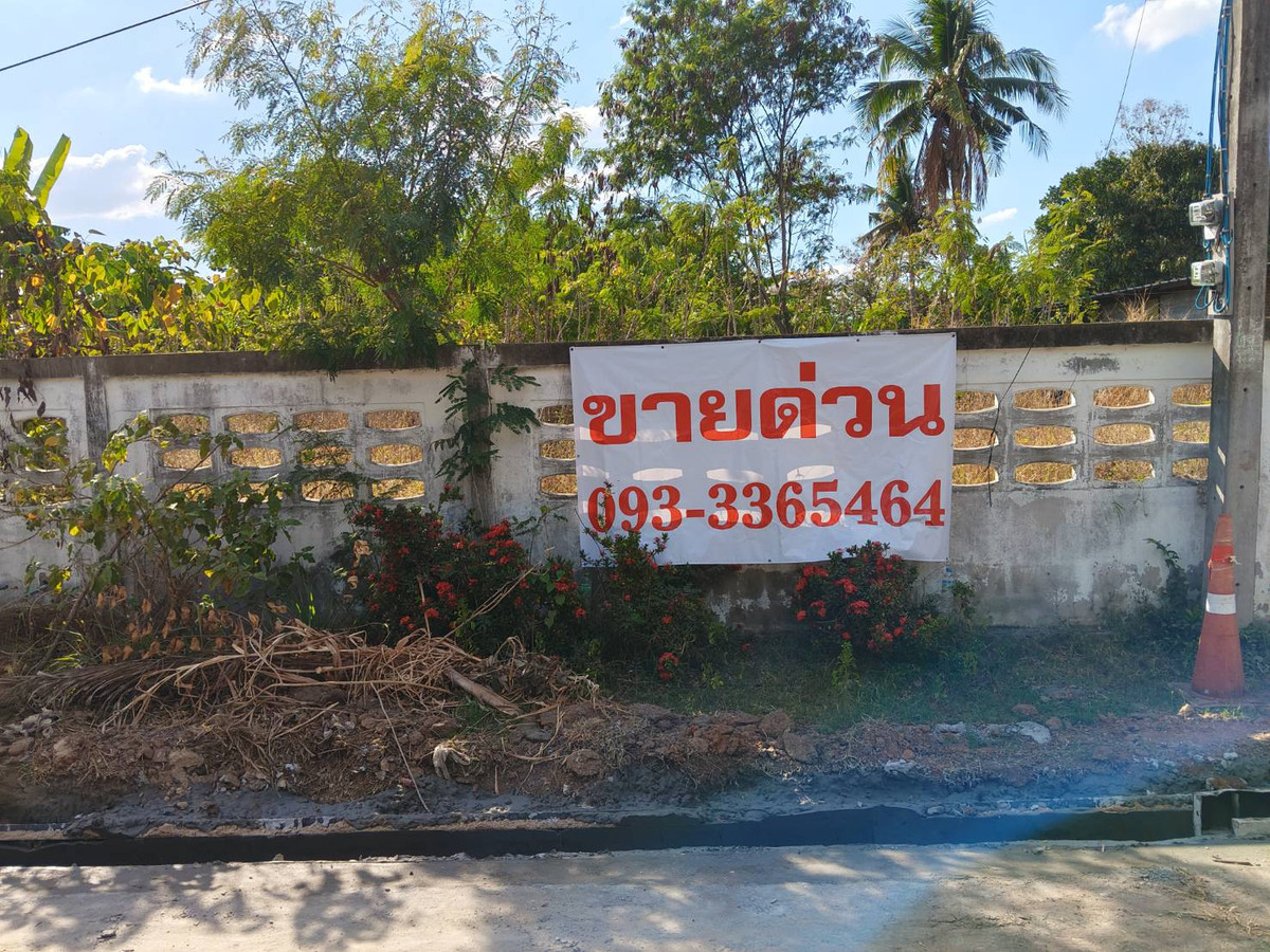 ที่ดินสวย ติดถนนหมู่บ้านและถนนไปยังวิหาร องค์ต้น ที่ดินสวย ติดถนนหมู่บ้านและถนนไปยังวิหาร องค์ต้น