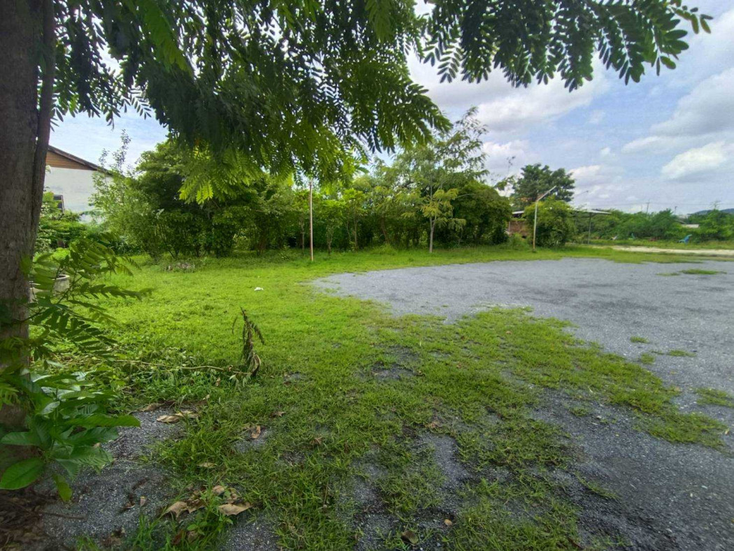 Land for sale, Krua Rom Mai Pla Pao Restaurant, 3 rai, 1 ngan, 15 sq m, famous restaurant in U Thong Land for sale, Krua Rom Mai Pla Pao Restaurant, 3 rai, 1 ngan, 15 sq m, famous restaurant in U Thong