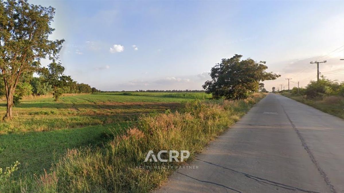 ขายที่ดินแปลงใหญ่ หนองบุญมาก จ.นครราชสีมา ขนาดกว่า 382 ไร่ – รูปที่ 3