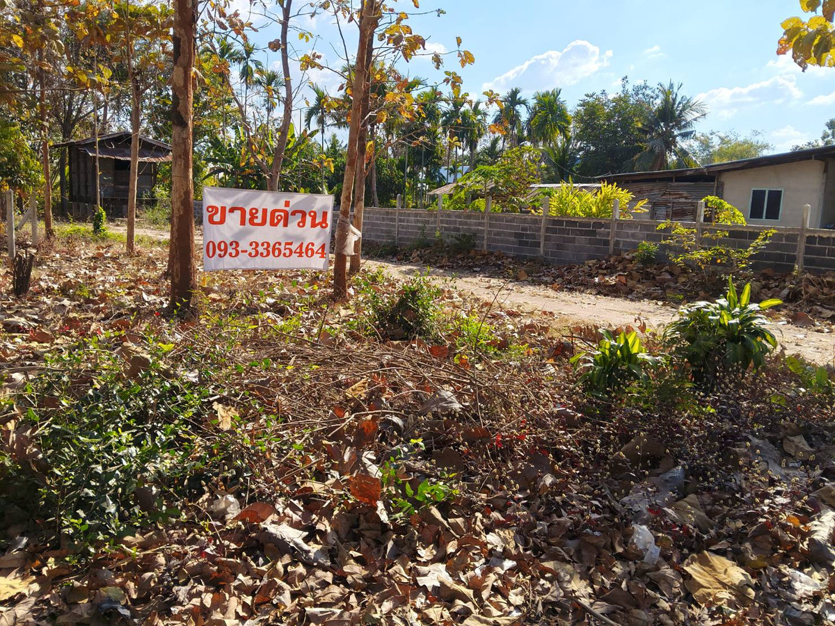 ที่ดินสวย ในหมู่บ้าน เหมาะสำหรับ ปลูกบ้านที่อยู่อาศัย และทำสวน ที่ดินสวย ในหมู่บ้าน เหมาะสำหรับ ปลูกบ้านที่อยู่อาศัย และทำสวน