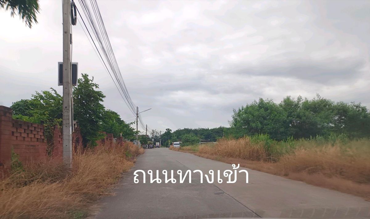 🚩 9 rai of land than the cheapest in this area, Pluak Daeng, Rayong, which is beautiful on the public road, 8 meters wide. – รูปที่ 3