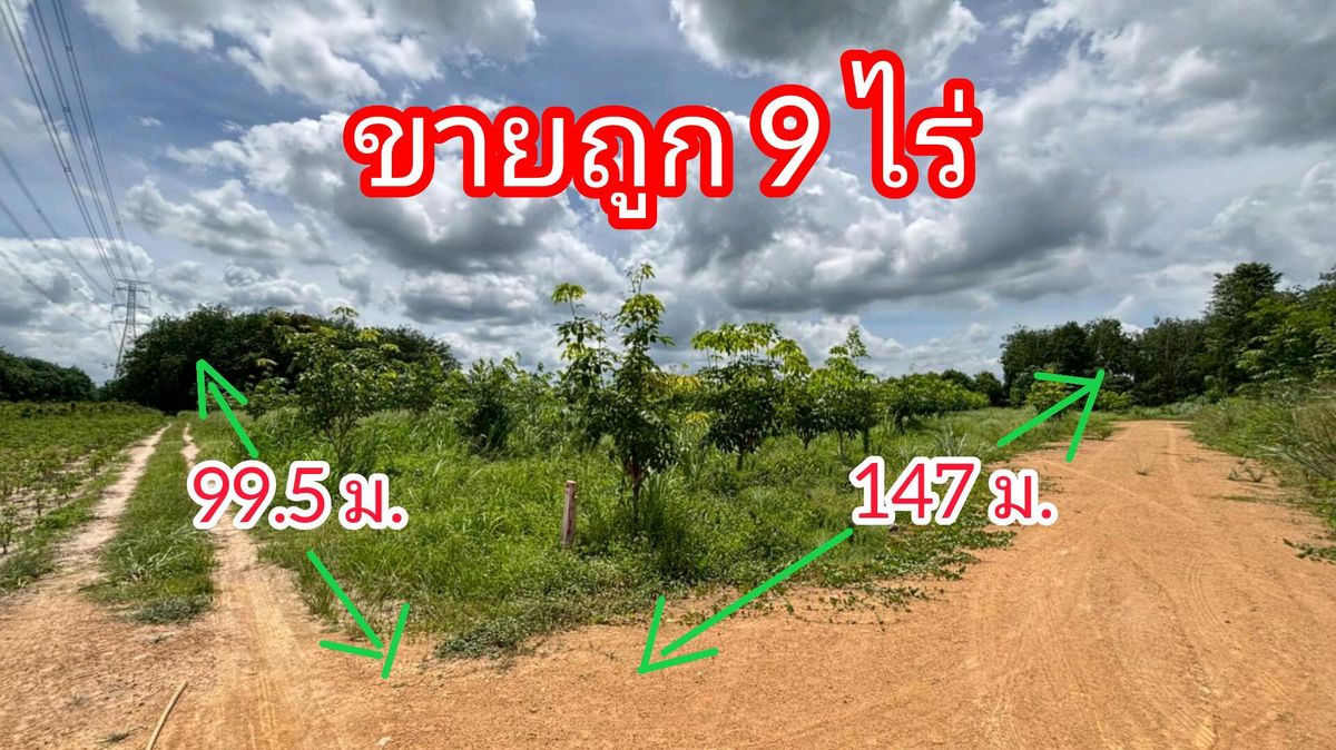 🚩 9 rai of land than the cheapest in this area, Pluak Daeng, Rayong, which is beautiful on the public road, 8 meters wide. 🚩 9 rai of land than the cheapest in this area, Pluak Daeng, Rayong, which is beautiful on the public road, 8 meters wide.