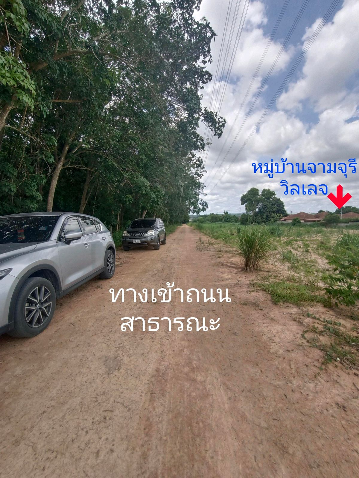 🚩 9 rai of land than the cheapest in this area, Pluak Daeng, Rayong, which is beautiful on the public road, 8 meters wide. – รูปที่ 4