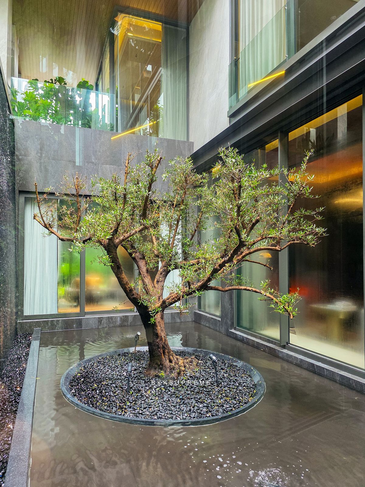 🌞𝗦𝗢𝗡𝗟𝗘 𝗥𝗘𝗦𝗜𝗗𝗘𝗡𝗖𝗘𝗦 (ซันเล เรสซิเดนเซส) | SC Asset – รูปที่ 3