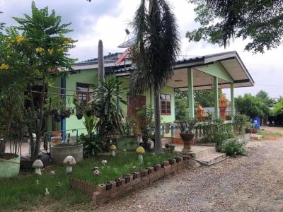 ขายบ้านพร้อมที่ดิน วิวสวย หน้ากว้าง บางขุนศรี ไทรน้อย นนทบุรี CX-132228
