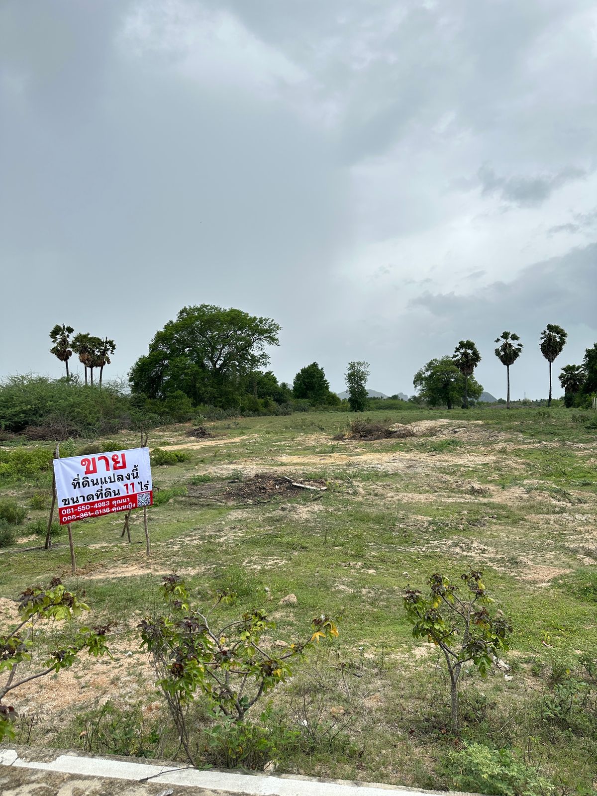 Cha -am Land, Phetchaburi Province, Bang Kao Subdistrict, Cha -am District (Nai Yang), Phetchaburi Province