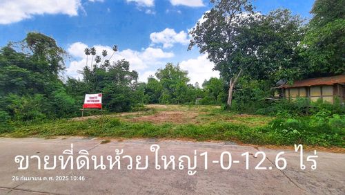 Urgent sale! Beautiful plot of land, Huai Yai, gold location, area 1 rai 12.6 sq.w., width 29.5 m. Deep 74 m. Special price.