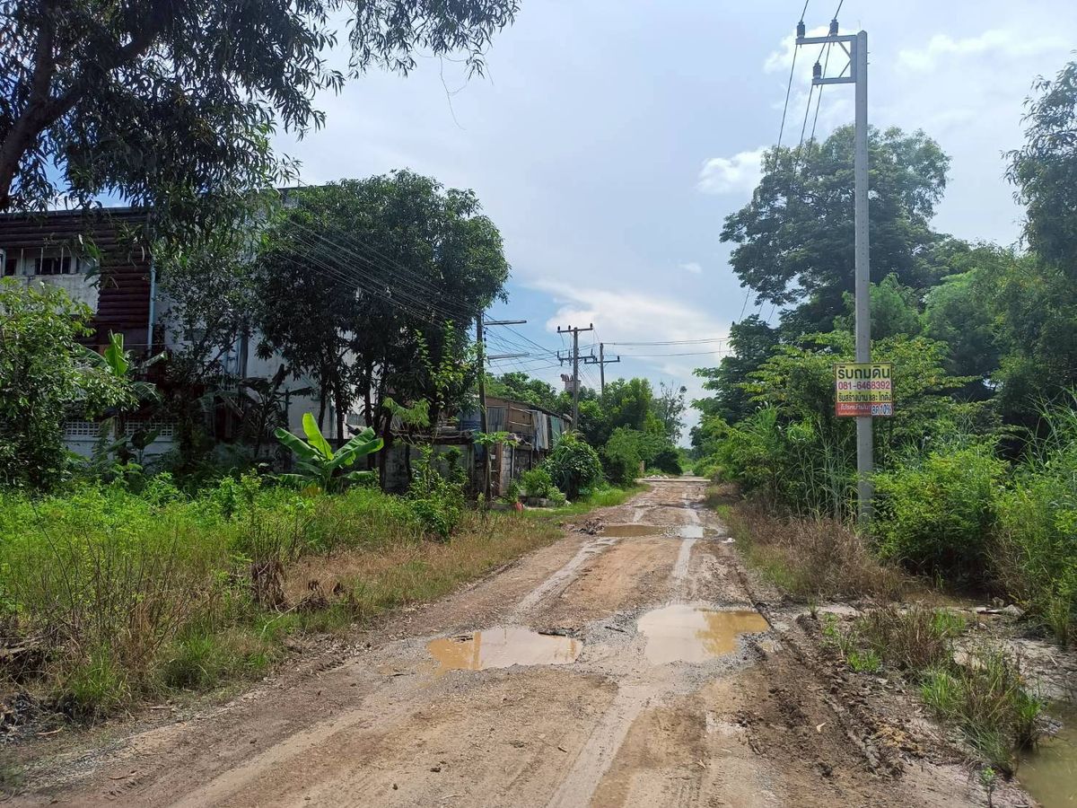 🌳 ขายที่ดิน 1 ไร่ ซอยบงกช 6 อำเภอคลองหลวง จังหวัดปทุมธานี  – รูปที่ 2