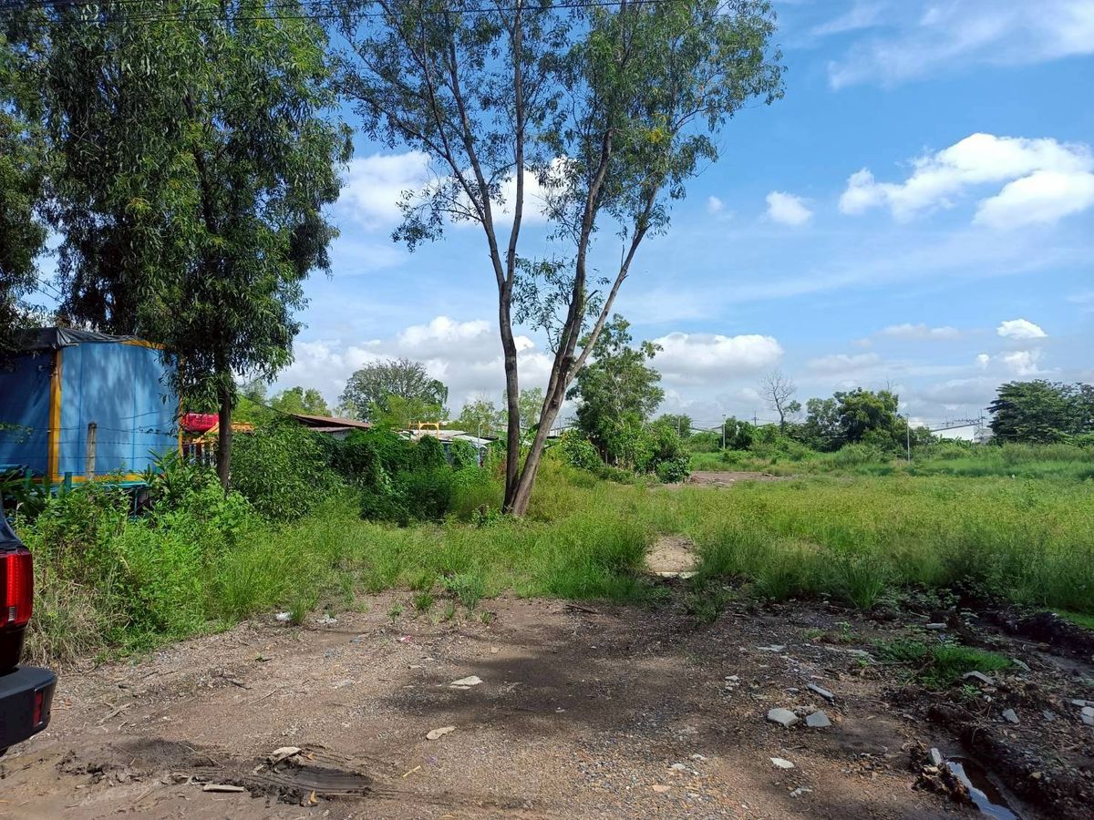 🌳 ขายที่ดิน 1 ไร่ ซอยบงกช 6 อำเภอคลองหลวง จังหวัดปทุมธานี  – รูปที่ 3