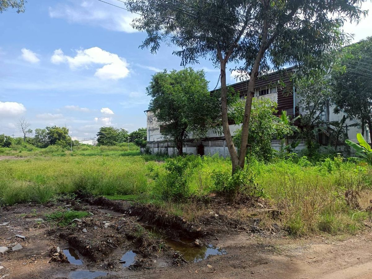 🌳 ขายที่ดิน 1 ไร่ ซอยบงกช 6 อำเภอคลองหลวง จังหวัดปทุมธานี 