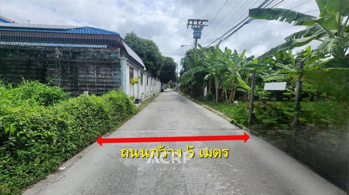 ขายที่ดินเปล่าถมแล้ว ทำเลทอง ศรีนครินทร์ 42 ซอยสุภาพงษ์ 1 แยก 8 – รูปที่ 2