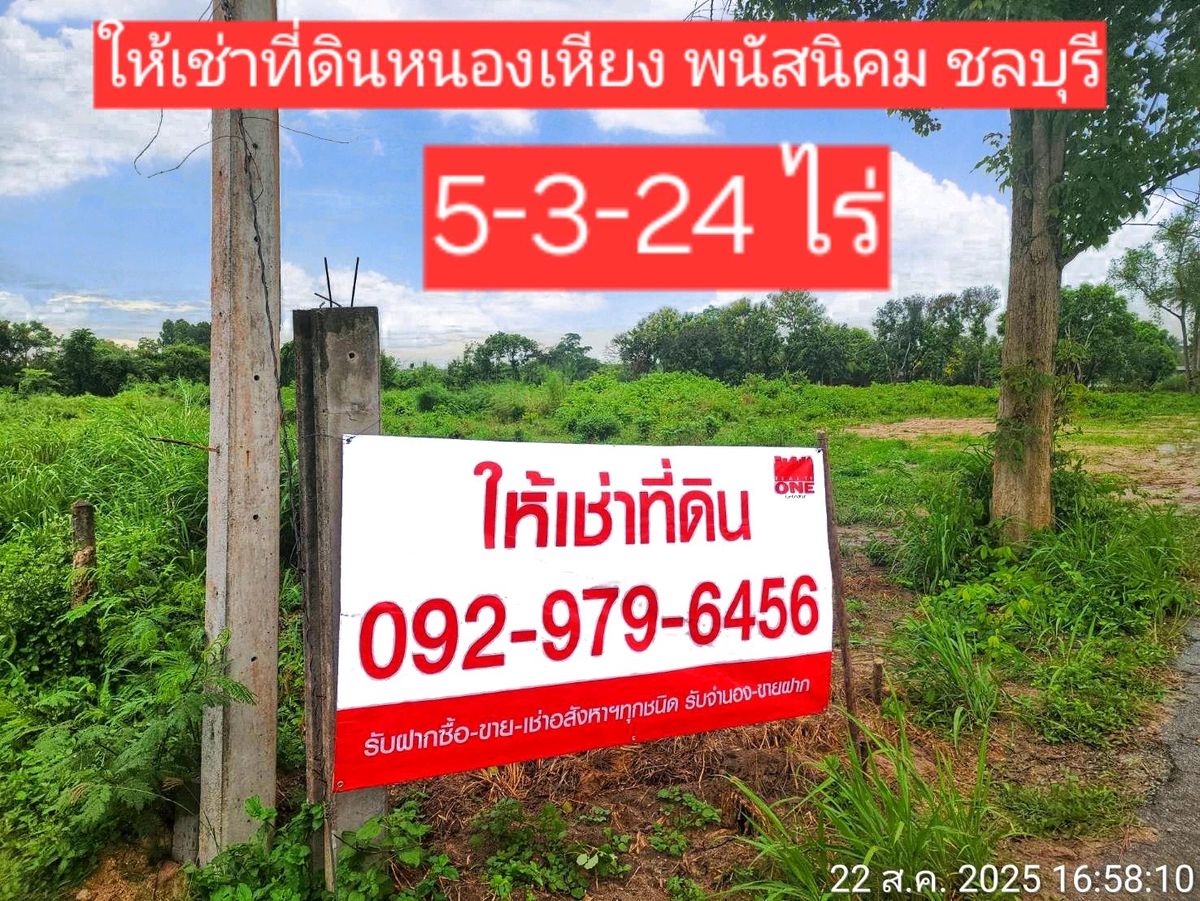 ให้เช่าที่ดินหนองเหียง พนัสนิคม 5-3-24 ไร่ แปลงสวย ติดถนน 2 ด้าน