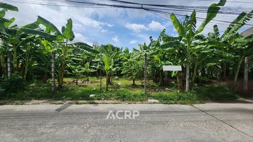 Vacant land for sale, Srinakarin 42, Soi Supaphong 1, Intersection 8.