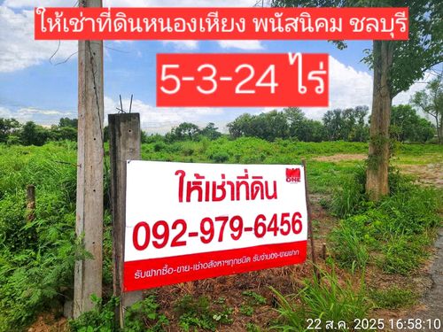 ให้เช่าที่ดินหนองเหียง พนัสนิคม 5-3-24 ไร่ แปลงสวย ติดถนน 2 ด้าน