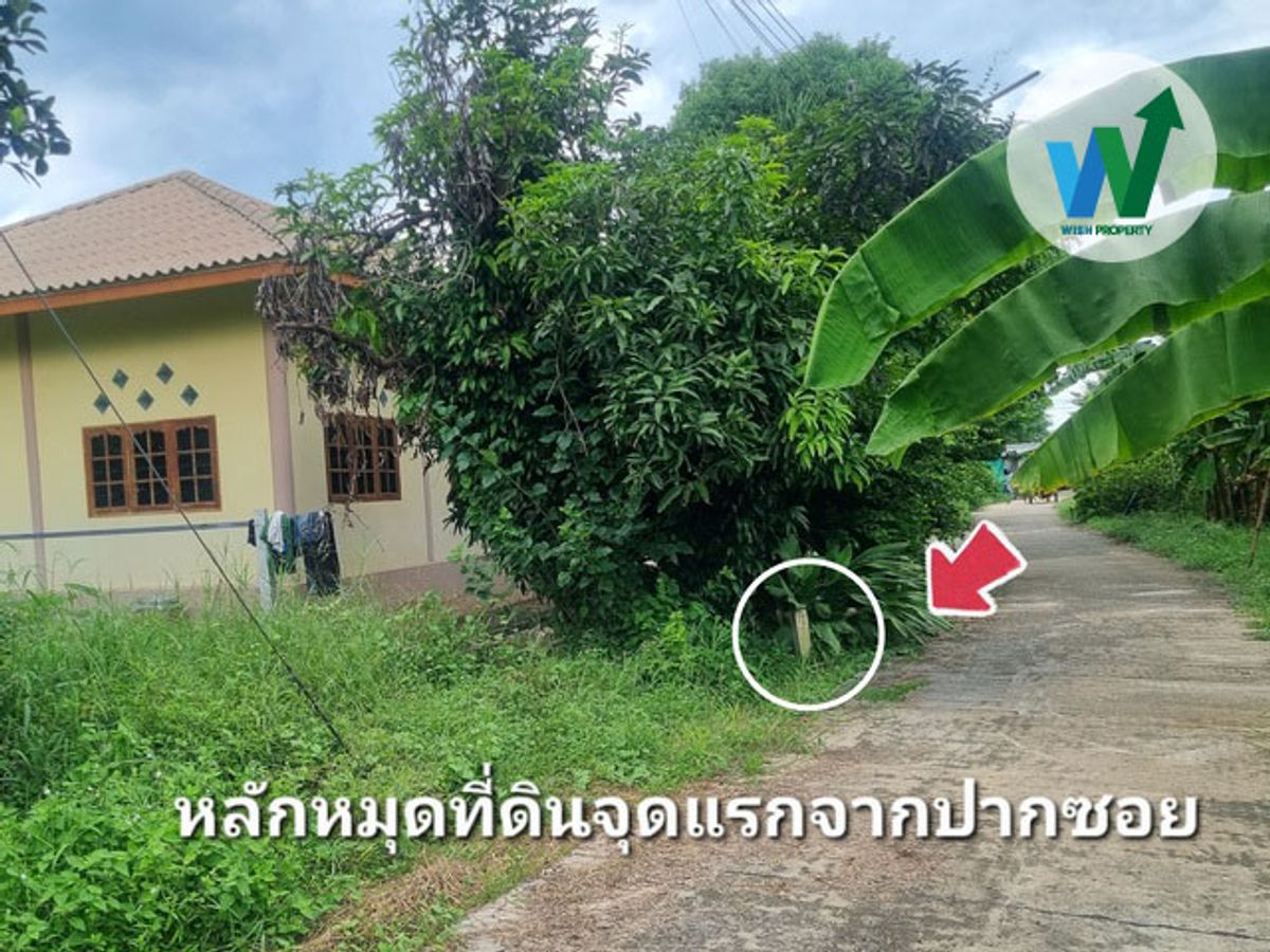 ที่ดิน ศิลาดาน จ.ชัยนาท 8ไร่ 2 งาน 49 ตร.ว. โฉนด ครุฑแดง ใกล้แม่น้ำเจ้าพระยา – รูปที่ 3