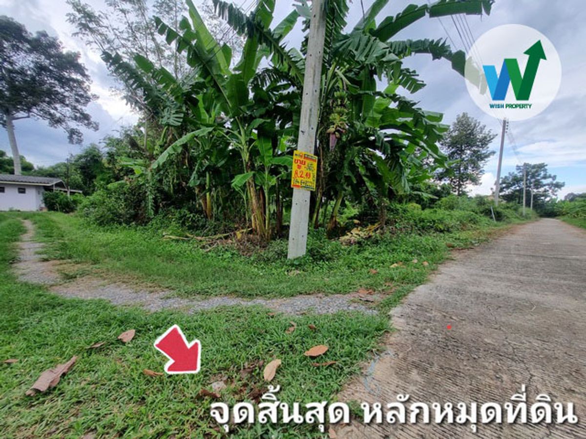 ที่ดิน ศิลาดาน จ.ชัยนาท 8ไร่ 2 งาน 49 ตร.ว. โฉนด ครุฑแดง ใกล้แม่น้ำเจ้าพระยา – รูปที่ 4