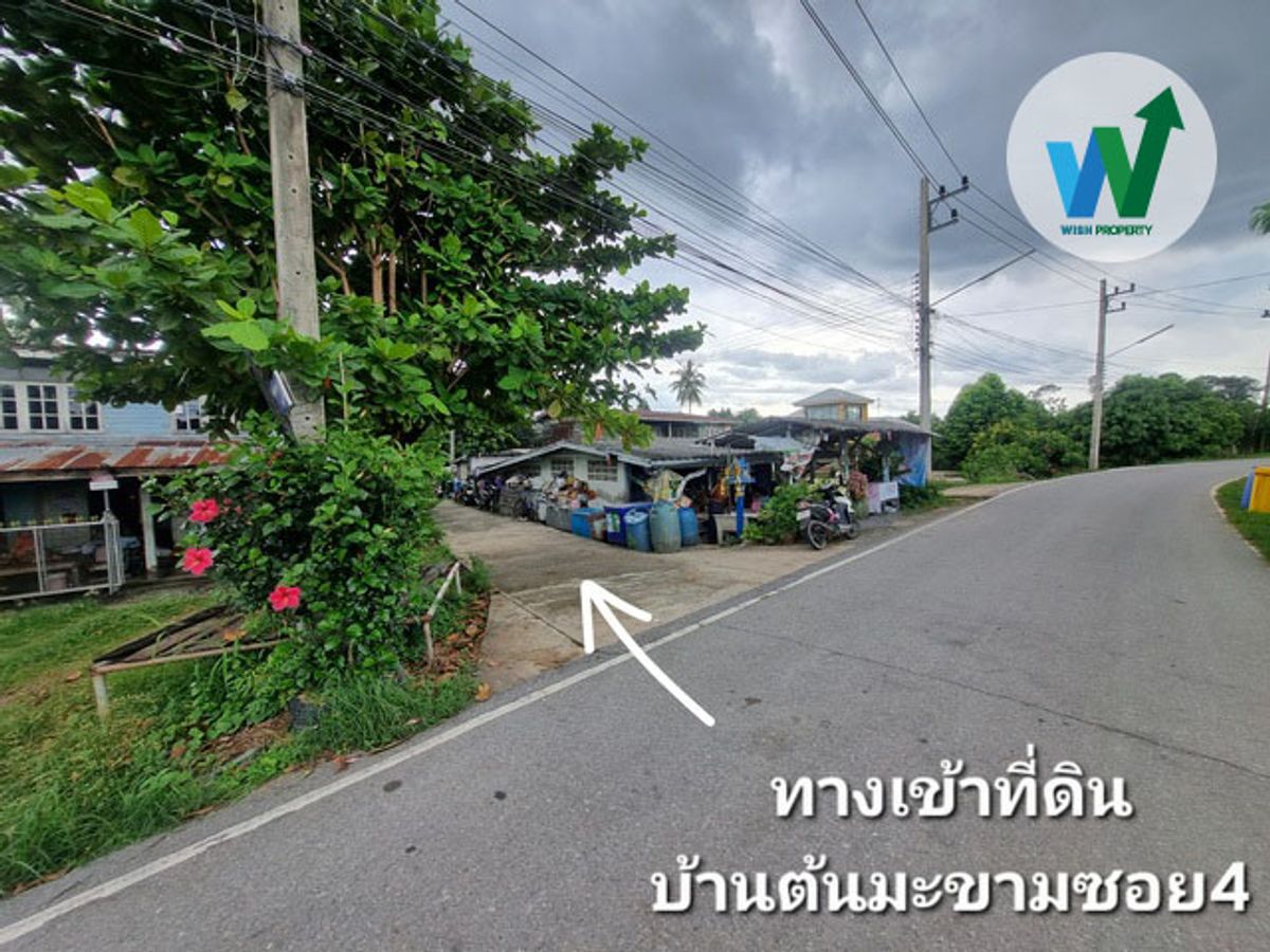 ที่ดิน ศิลาดาน จ.ชัยนาท 8ไร่ 2 งาน 49 ตร.ว. โฉนด ครุฑแดง ใกล้แม่น้ำเจ้าพระยา – รูปที่ 2