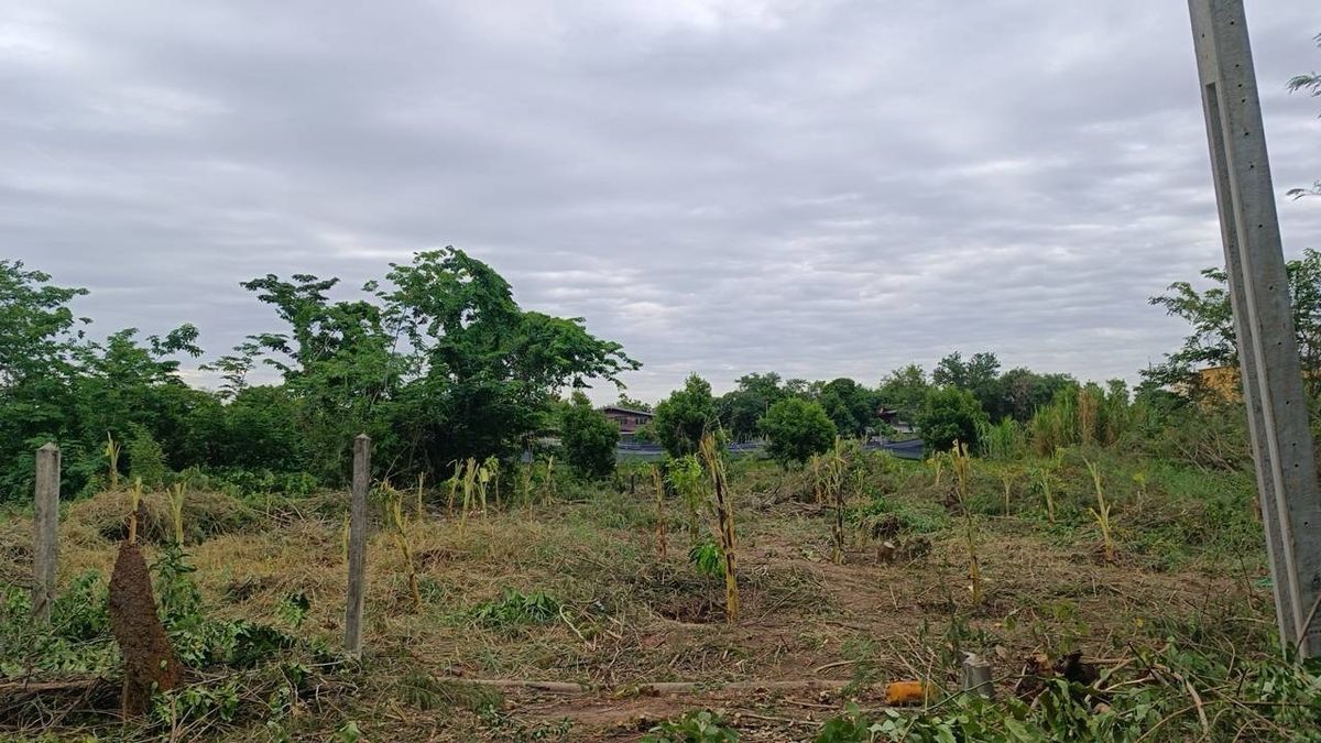 Urgent sale is lower than the estimated price of half of the land allocated in Suan Mueang Village, Sai Yai Subdistrict, Sai Noi District, Non Thu Province. – รูปที่ 4