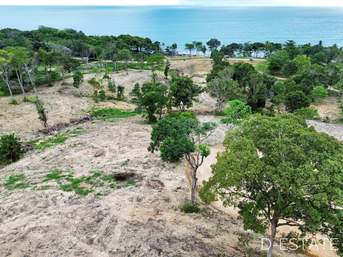Land for sale in Ko Lanta Beach, Krabi Province – รูปที่ 4