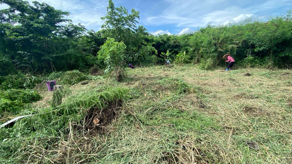 Urgent sale is lower than the estimated price of half of the land allocated in Suan Mueang Village, Sai Yai Subdistrict, Sai Noi District, Non Thu Province. – รูปที่ 3