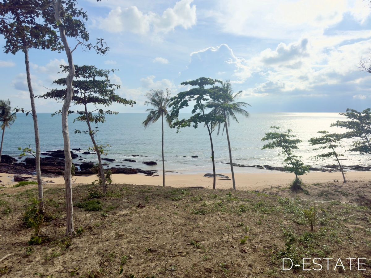 Land for sale in Ko Lanta Beach, Krabi Province – รูปที่ 3