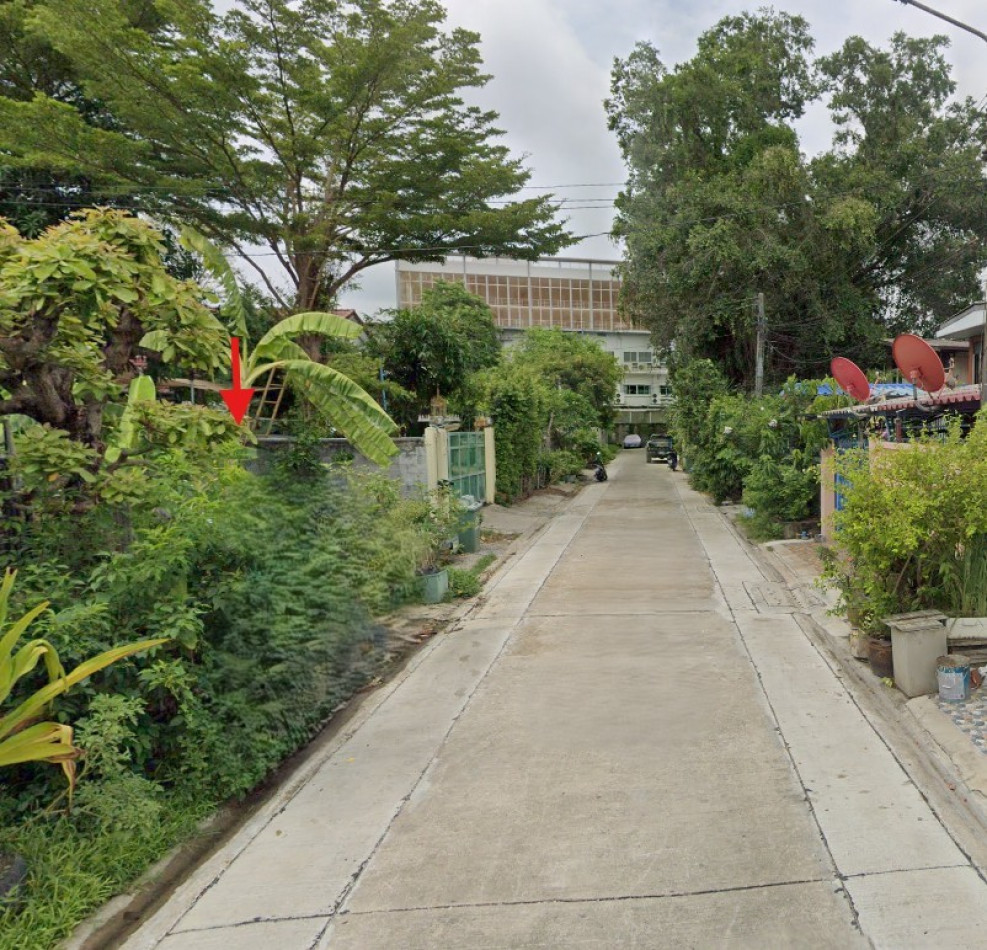 Land for sale, 82 sq.w., Soi Sirikasem 15, near Sirikasem Market and Assumption Thonburi School – รูปที่ 3