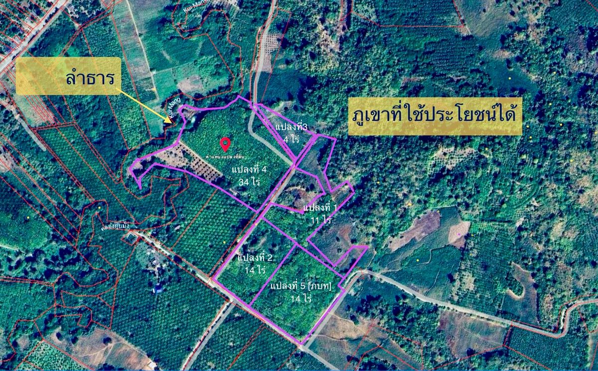 ที่ดินสวนยาง 77 ไร่ ริมเขา มีคลอง ทองผาภูมิ กาญจนบุรี ครุฑแดง – รูปที่ 2