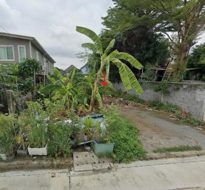 Land for sale, 82 sq.w., Soi Sirikasem 15, near Sirikasem Market and Assumption Thonburi School