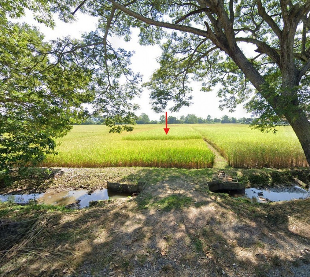 Land for sale in Chiang Rai, 5-0-96 rai, near Wiang Nuea Subdistrict Municipality and Ban Khai Charoen School. Land for sale in Chiang Rai, 5-0-96 rai, near Wiang Nuea Subdistrict Municipality and Ban Khai Charoen School.