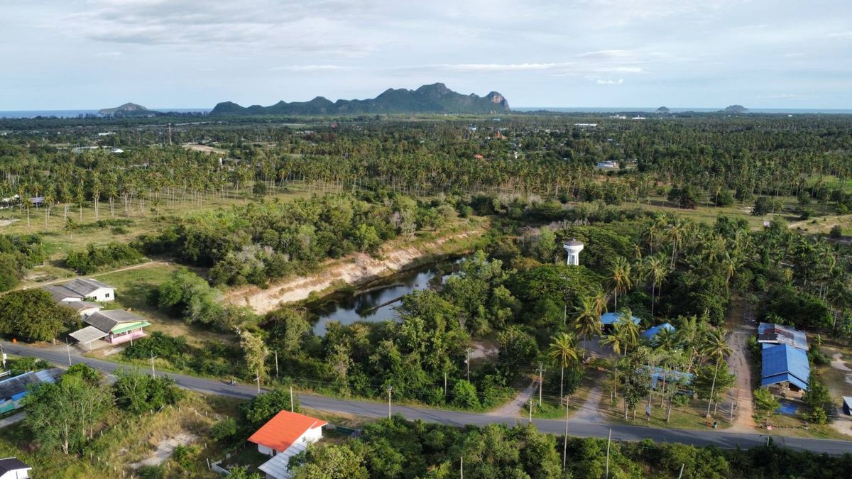 แปลงสวย คุ้มค่า !! ขายที่ดินเปล่า 12-2-49ไร่ ต.เกาะหลัก อ.ประจวบฯ ใกล้โลตัส เหมาะทำบ้านจัดสรรหรือเก็บลงทุน! ด่วนมาก! – รูปที่ 3